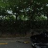 라이트코리아