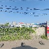 주식회사 에스비아이무역(SBI TRADING COMPANY.LTD.)