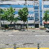 피자마루 모던통닭_3