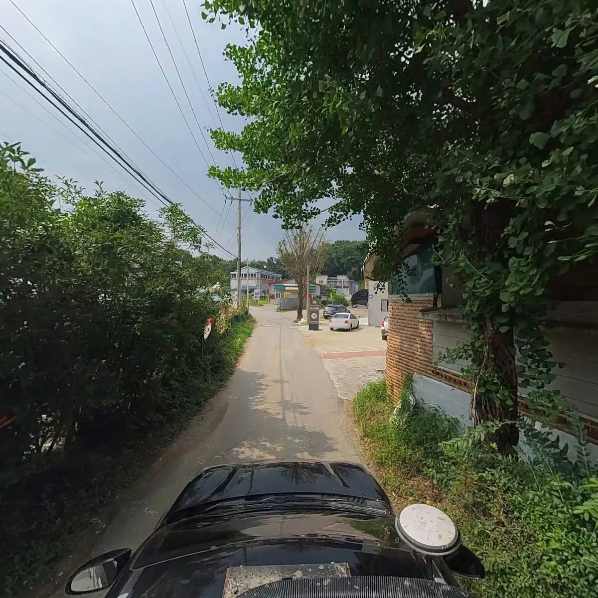 푸른초장교회_4