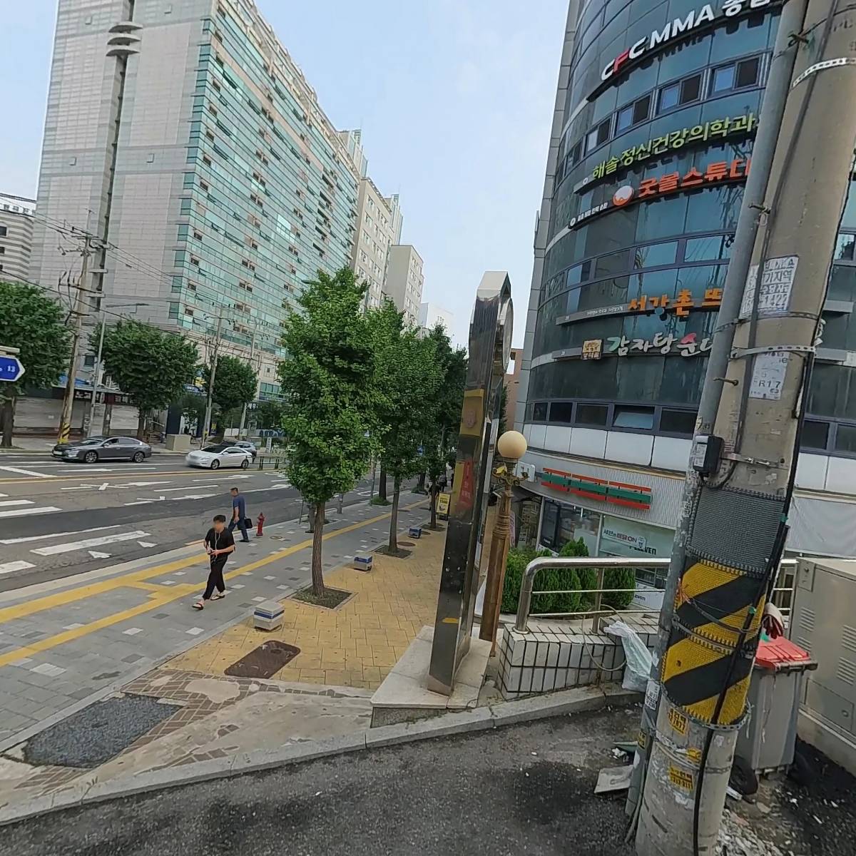 장대수