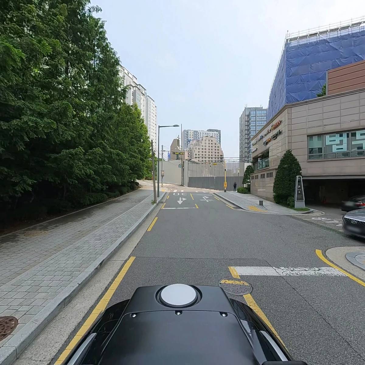 마이크로셀 강스_2
