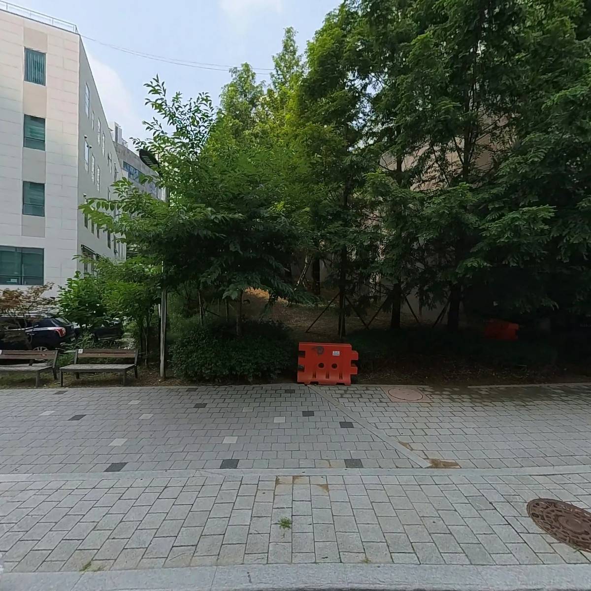 마이크로셀 강스