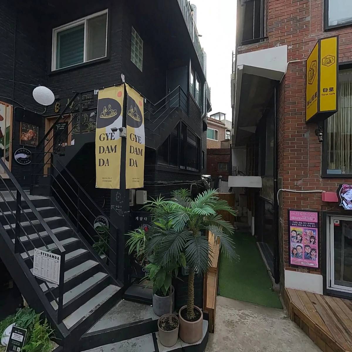 라 셀렉시옹 (La selection)