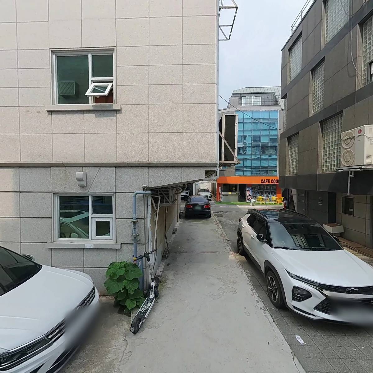 네오룩