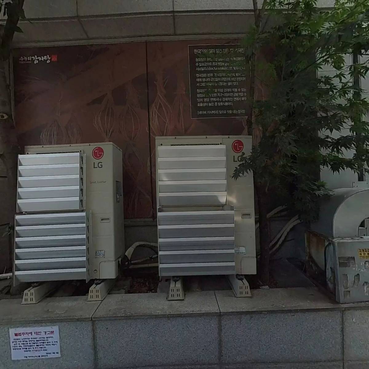 김부심