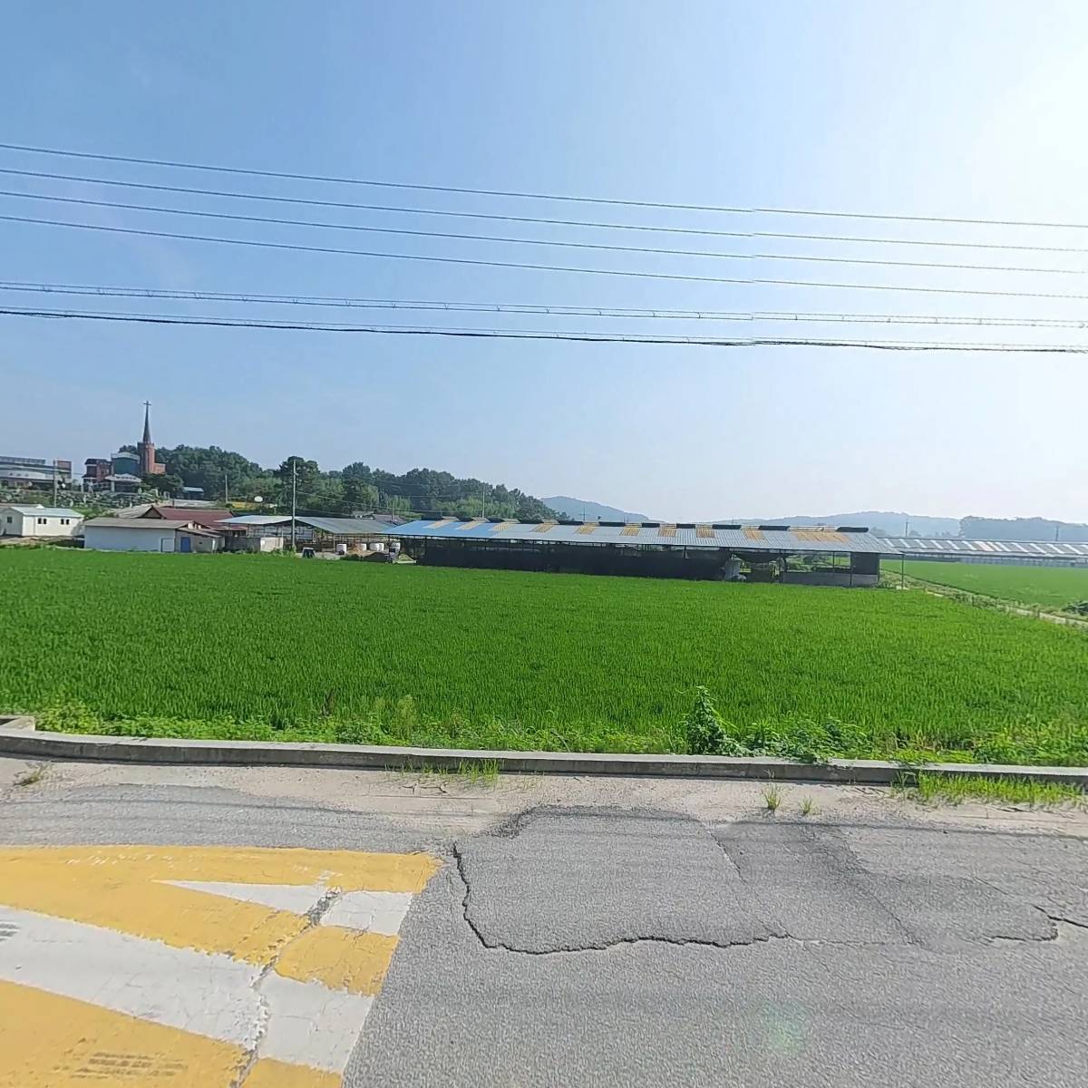 농업회사법인 유한회사 늘푸른라이스_3