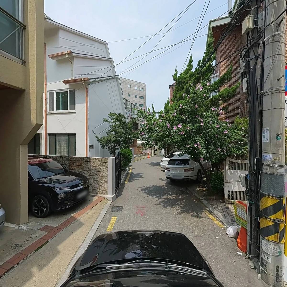 산책_4