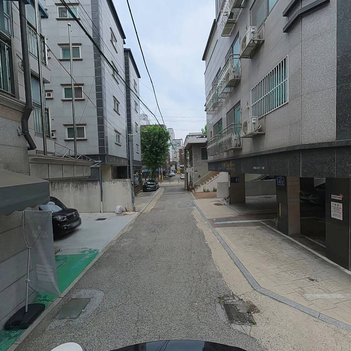 한국하와이문화협회_2