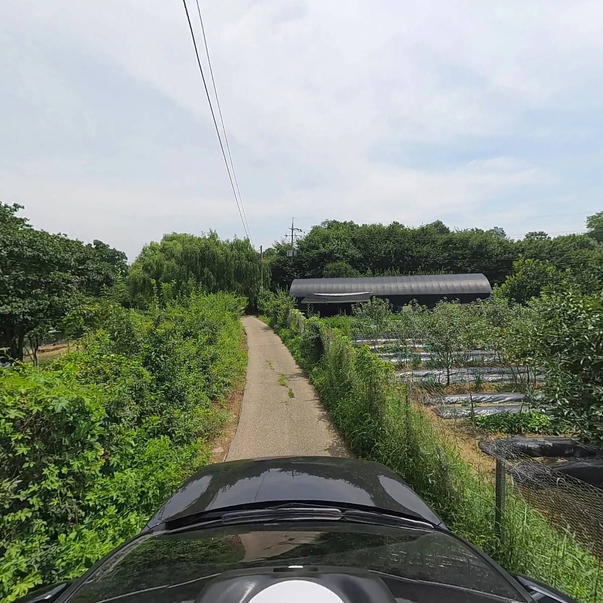 프레쉬타운_4