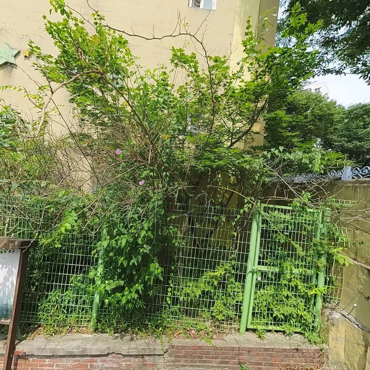 민들레지역아동센터