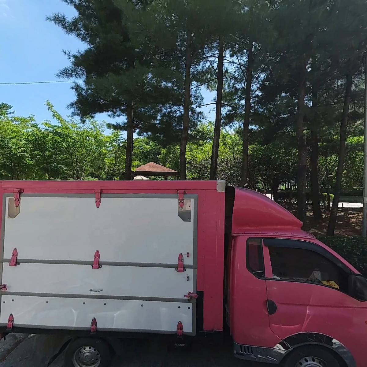 화사한 날_3