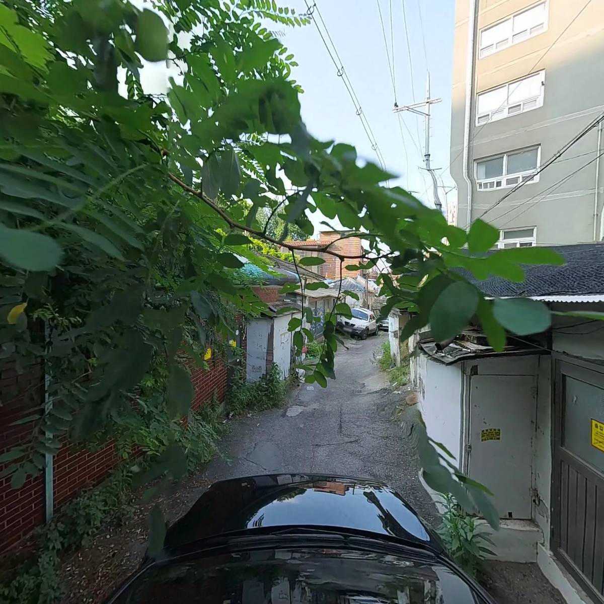 선（SUN）_4