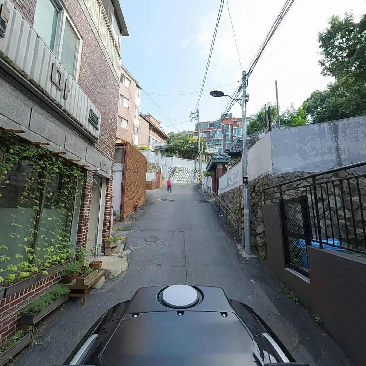 목목심(木目心)_2