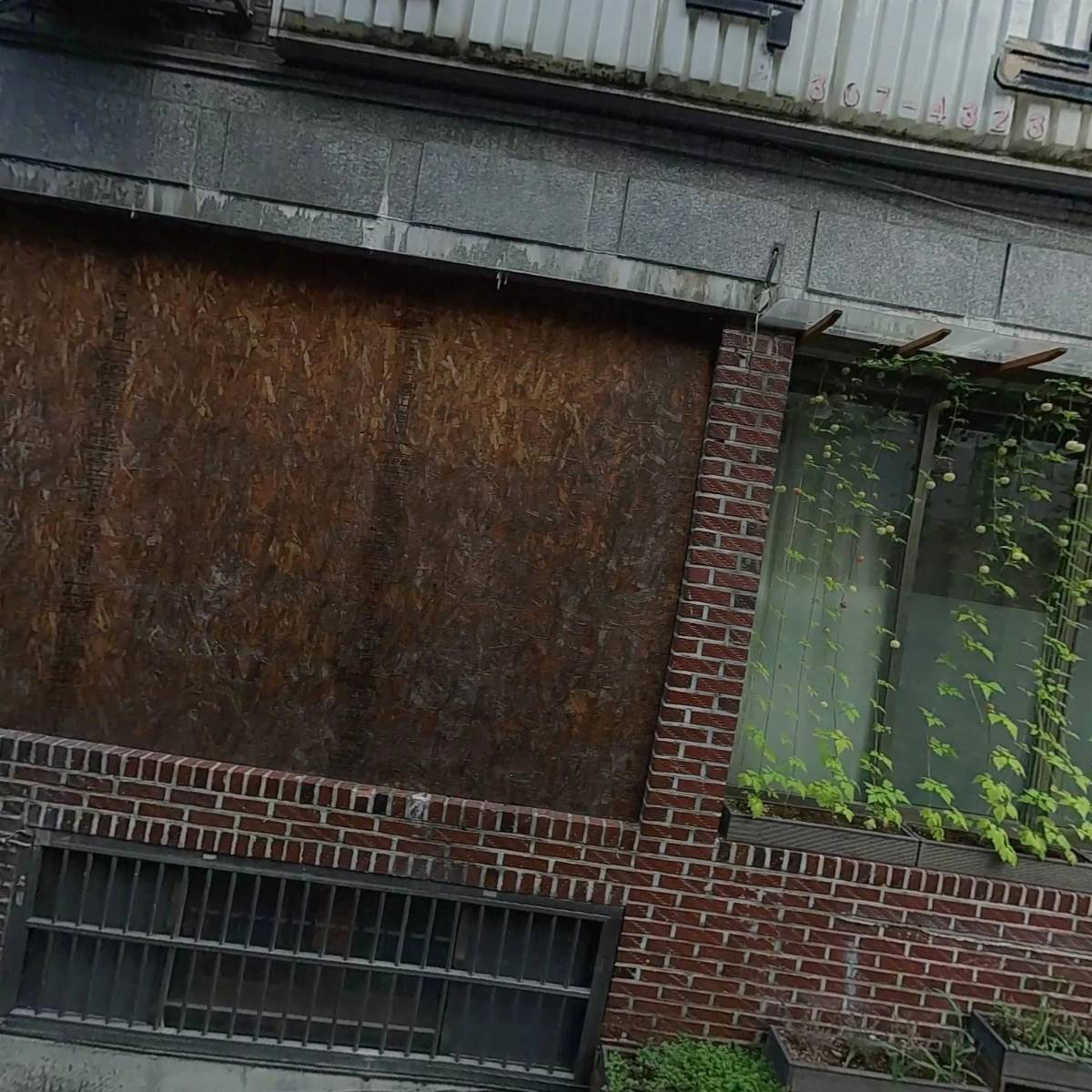 목목심(木目心)