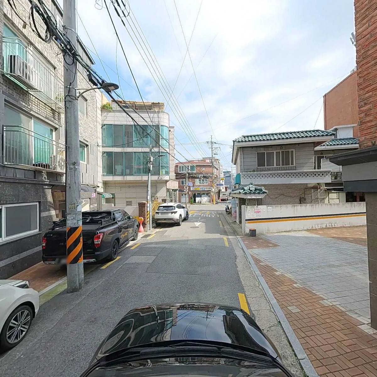 바오_4