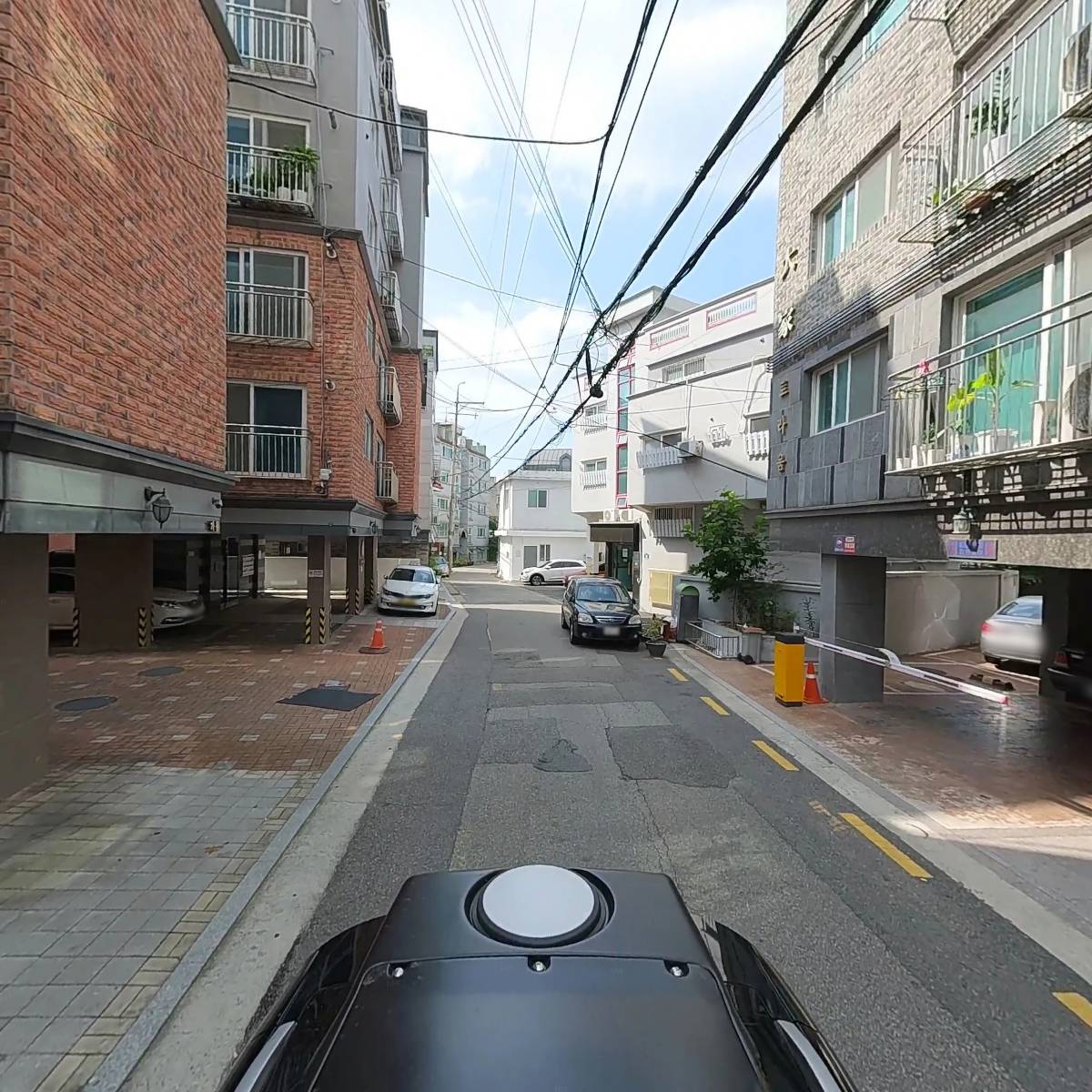바오_2