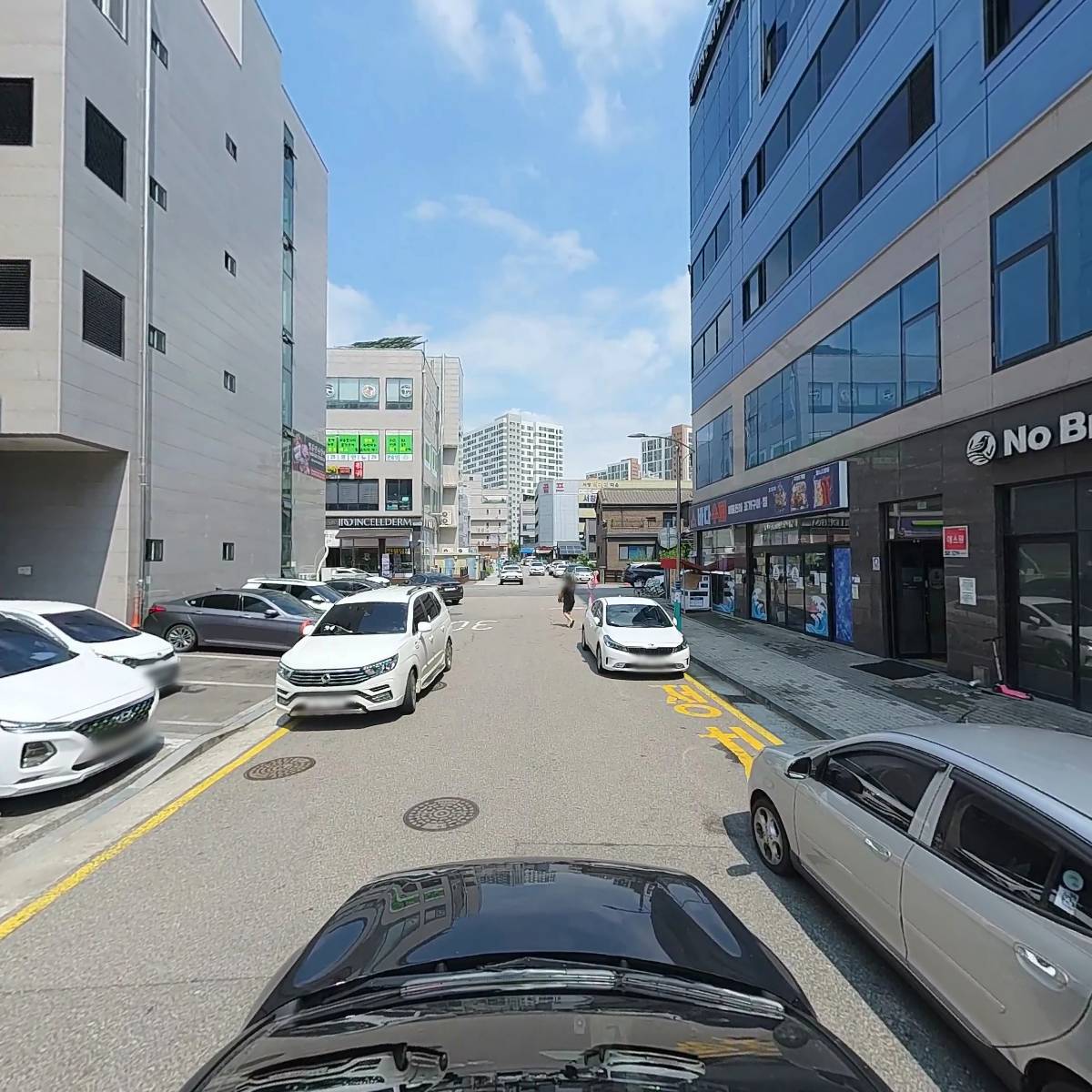 알베로테라_4