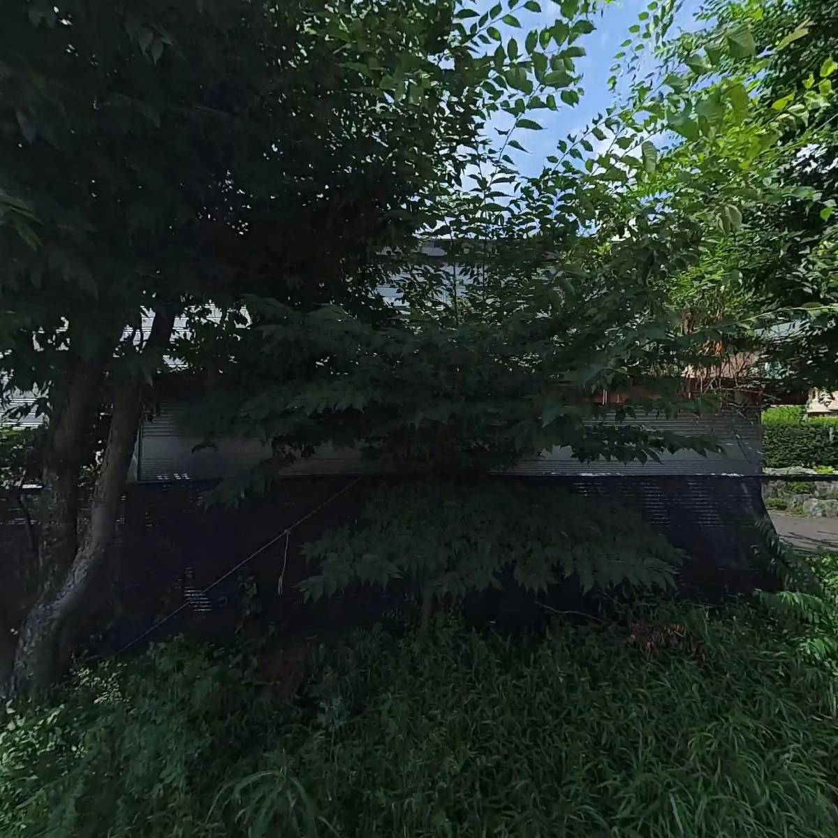 누리팜