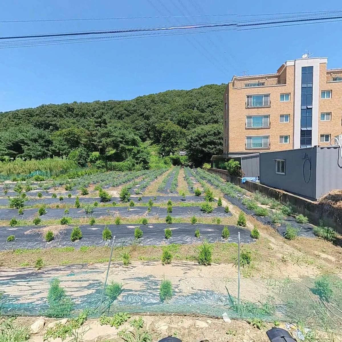 （주）워킹앤루킹_3