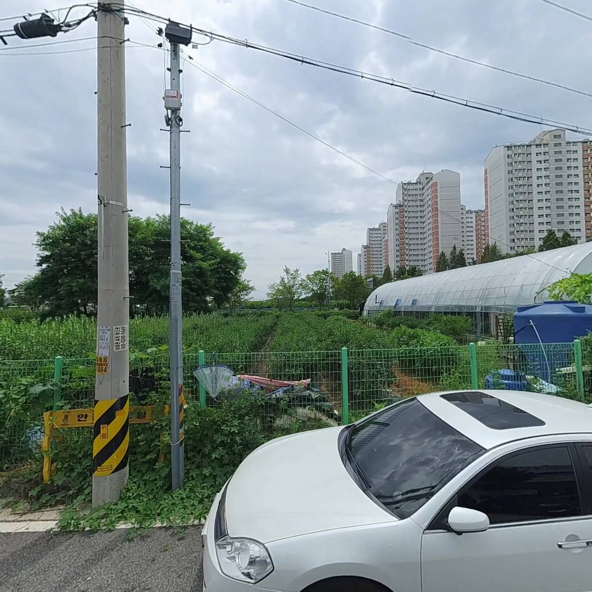 신우연마