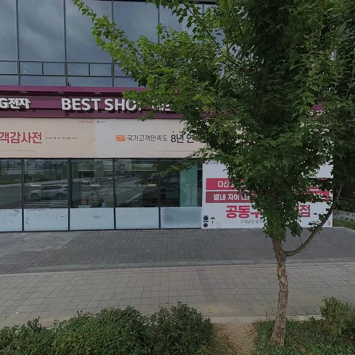 로아핏