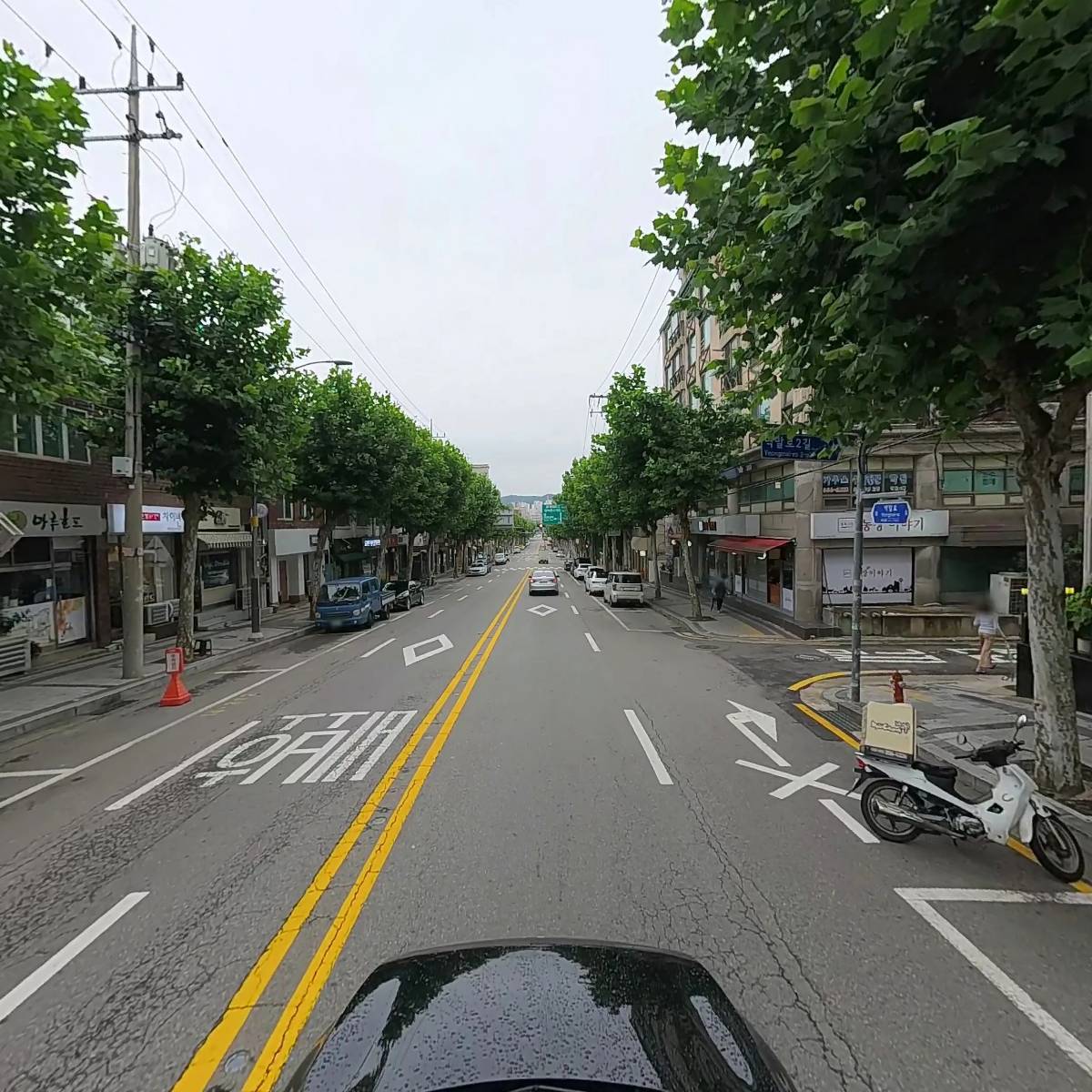 도담동물병원_4