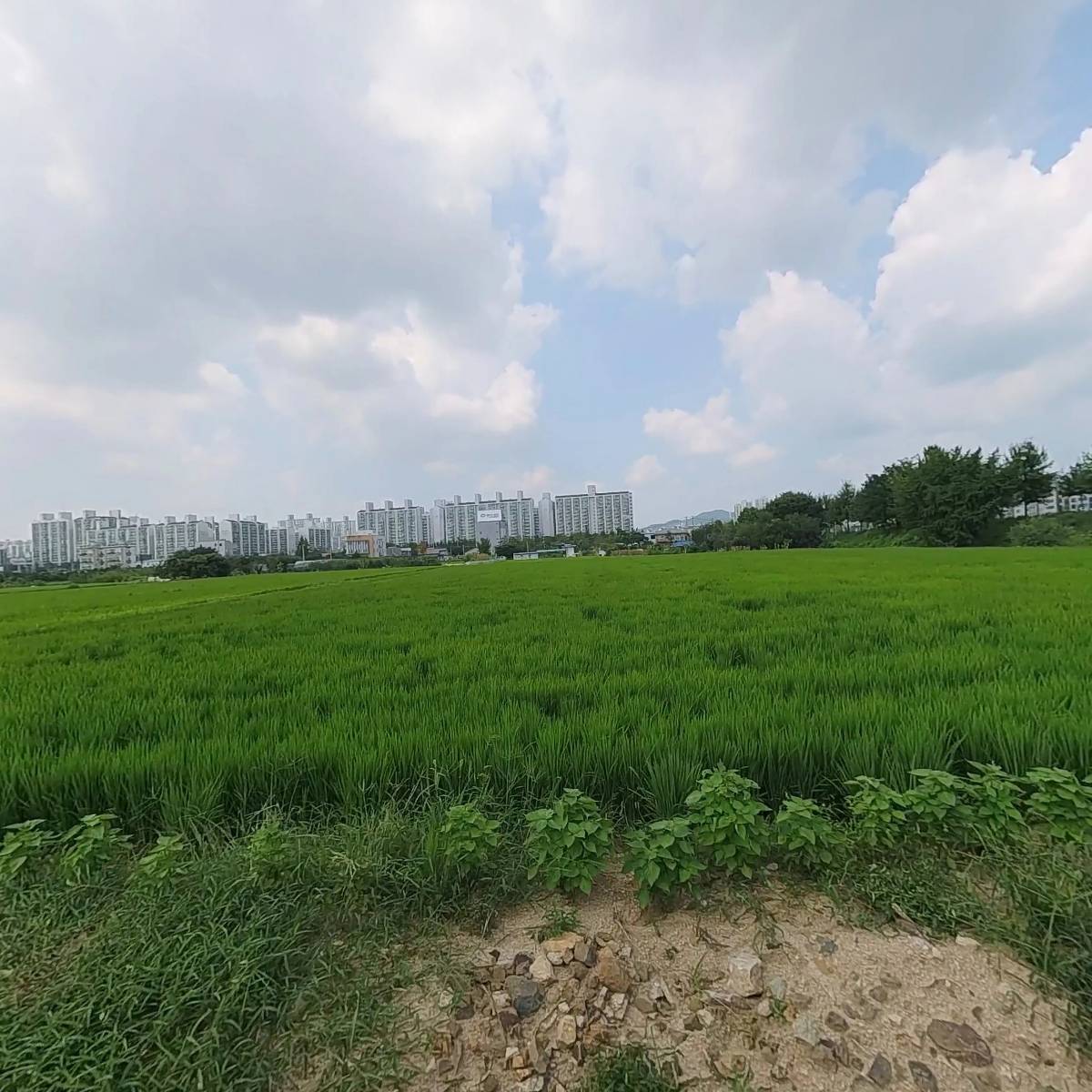더존이엔지(ENG)