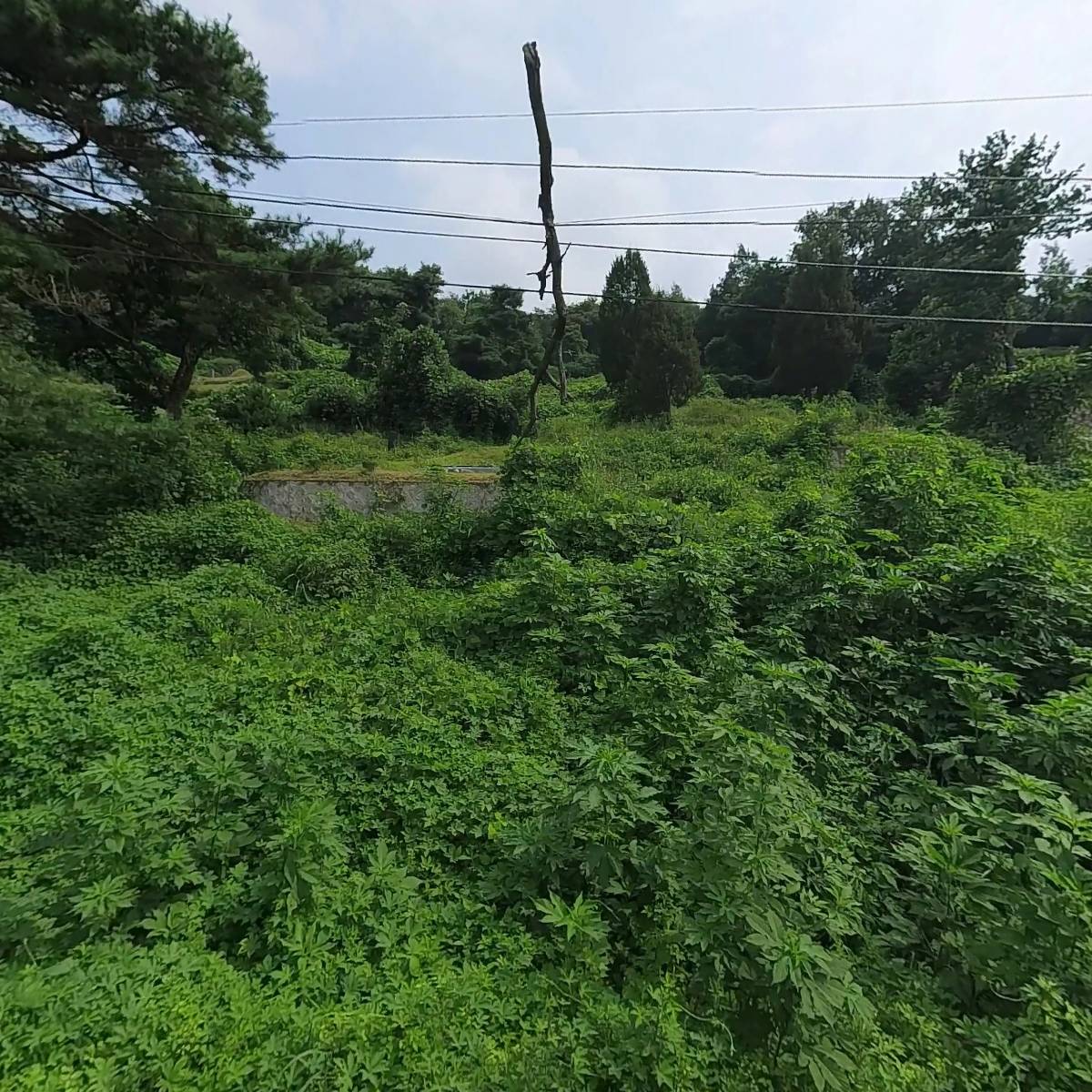 수노음