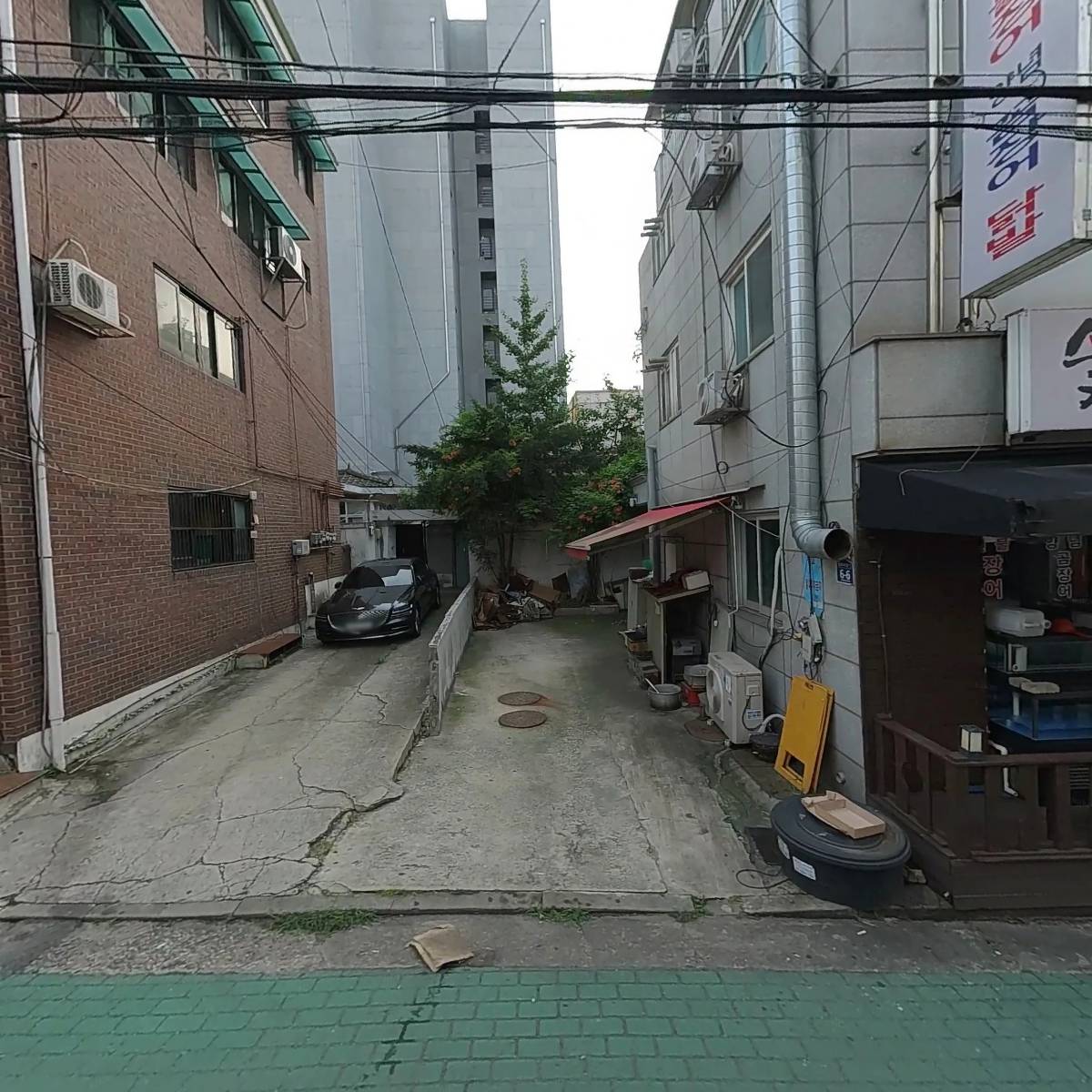 타이밍
