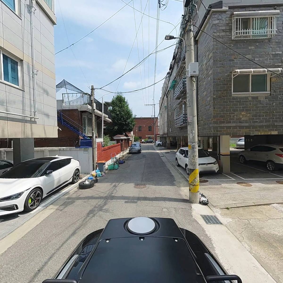 홈케어 나무_2