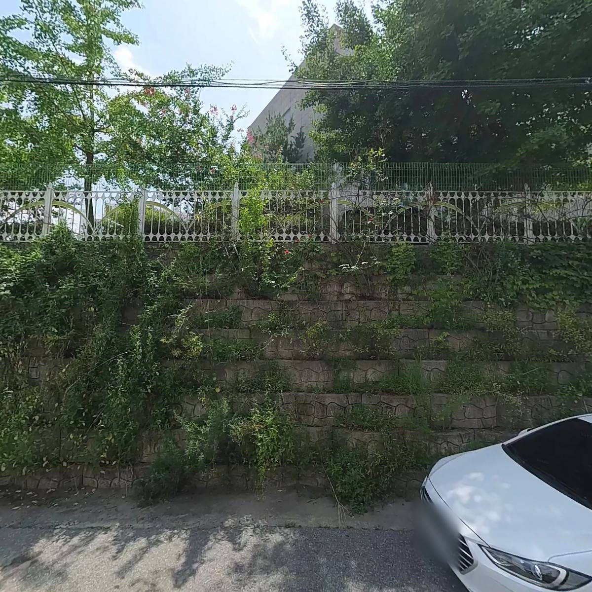 오토(AUTOEXPORT)