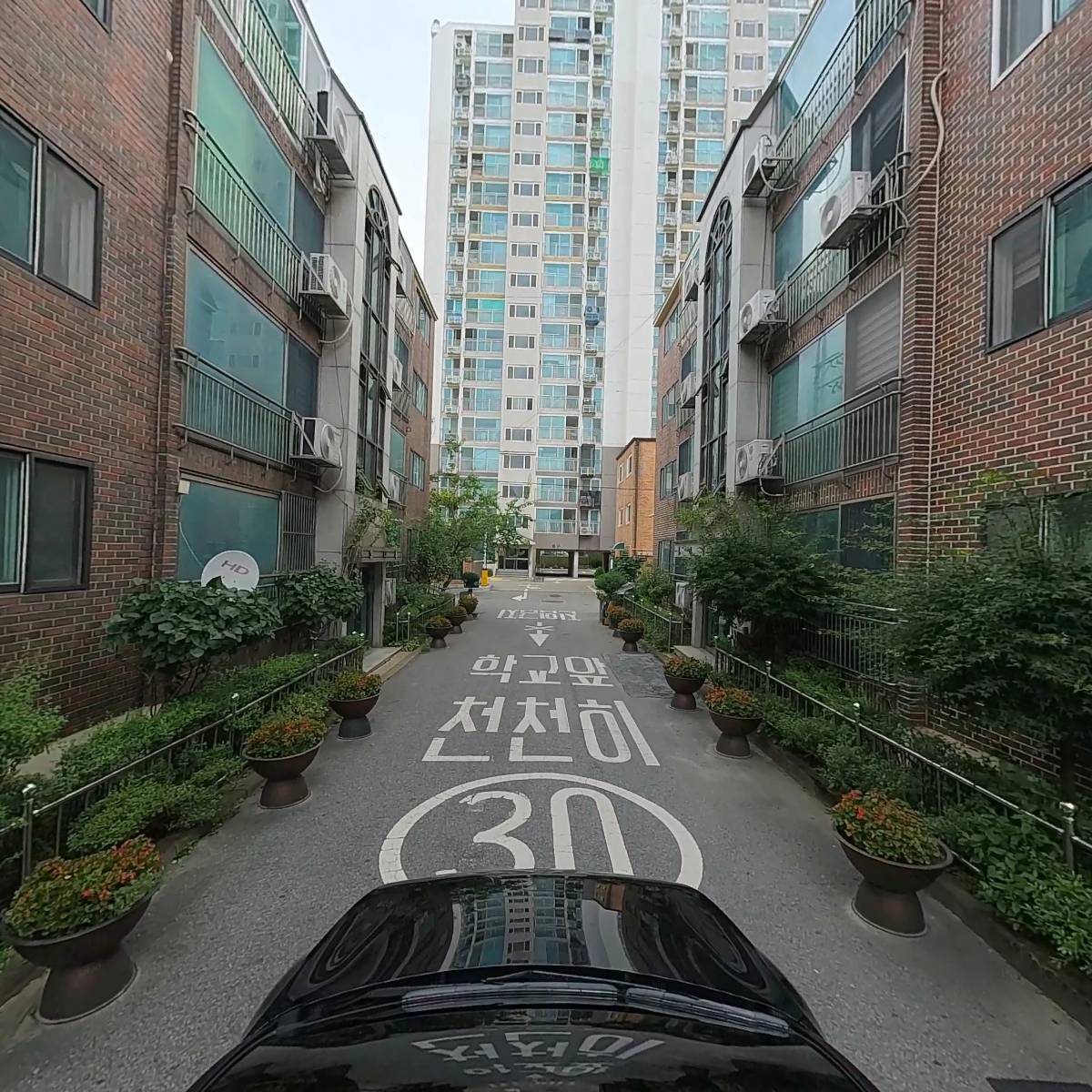 서포터(Supporter)_4