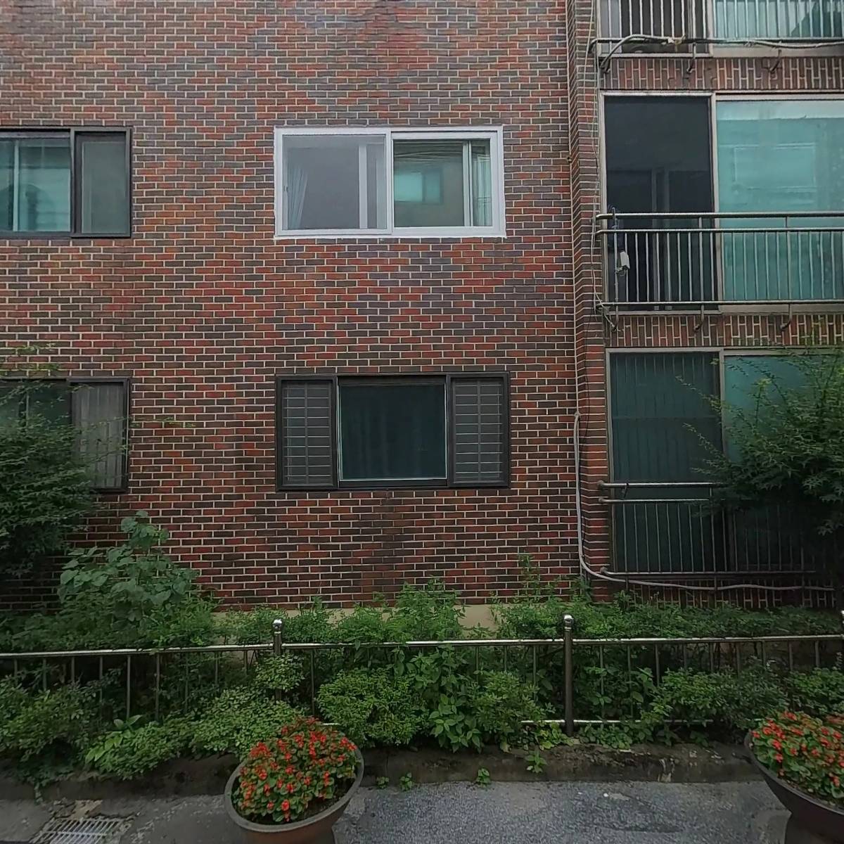 서포터(Supporter)