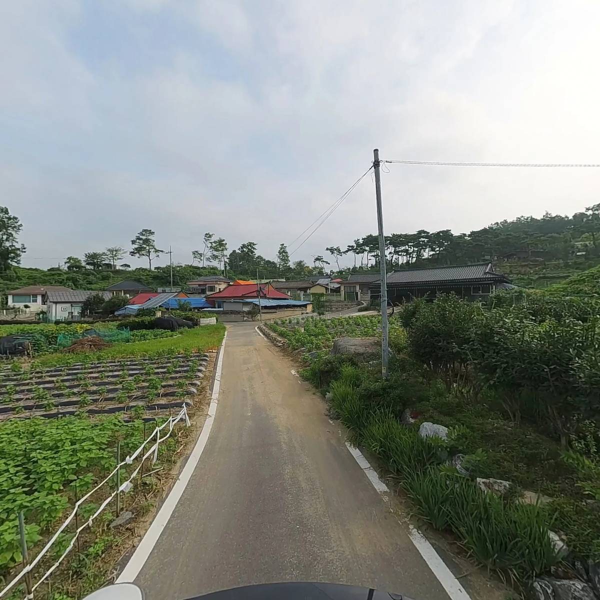 한국 손글씨 협회_2