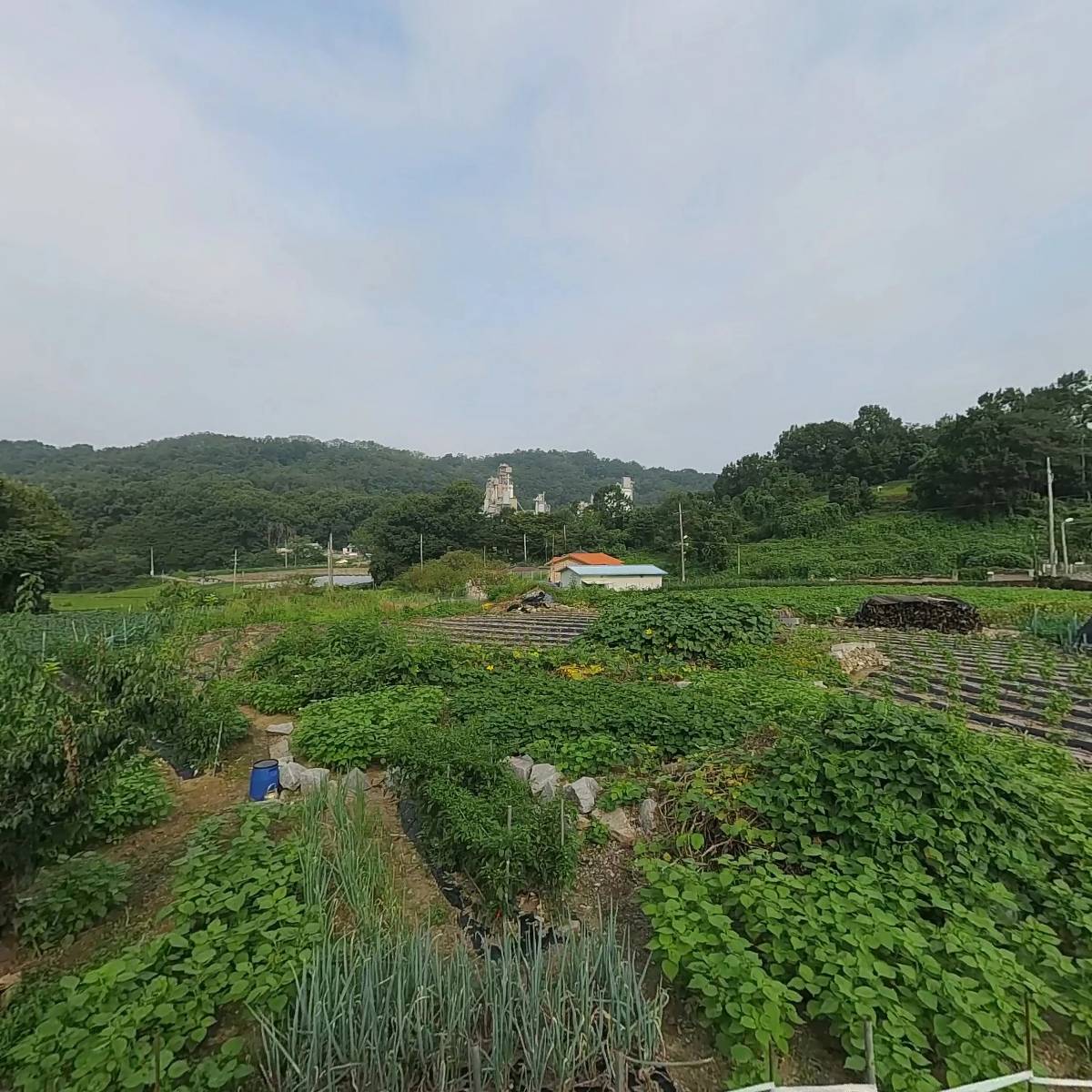 한국 손글씨 협회