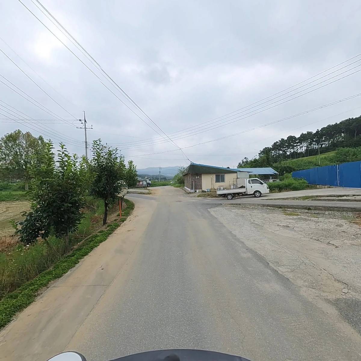 준호네 블루베리_2
