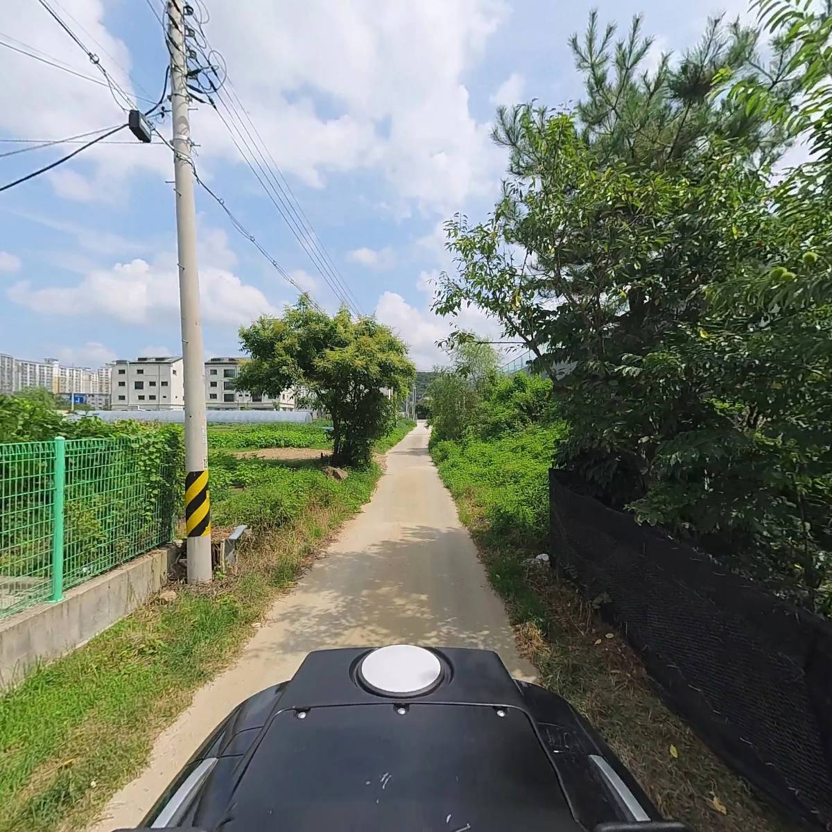 영화금박_2