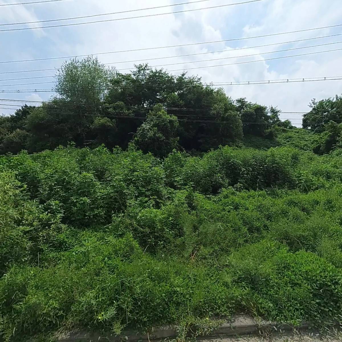 선형부동산