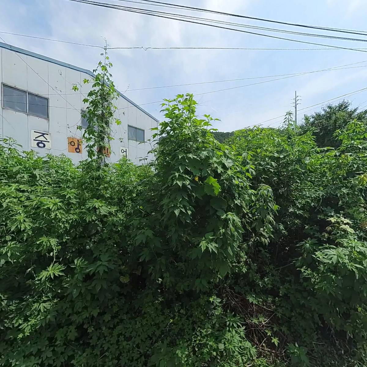 디자인달과별
