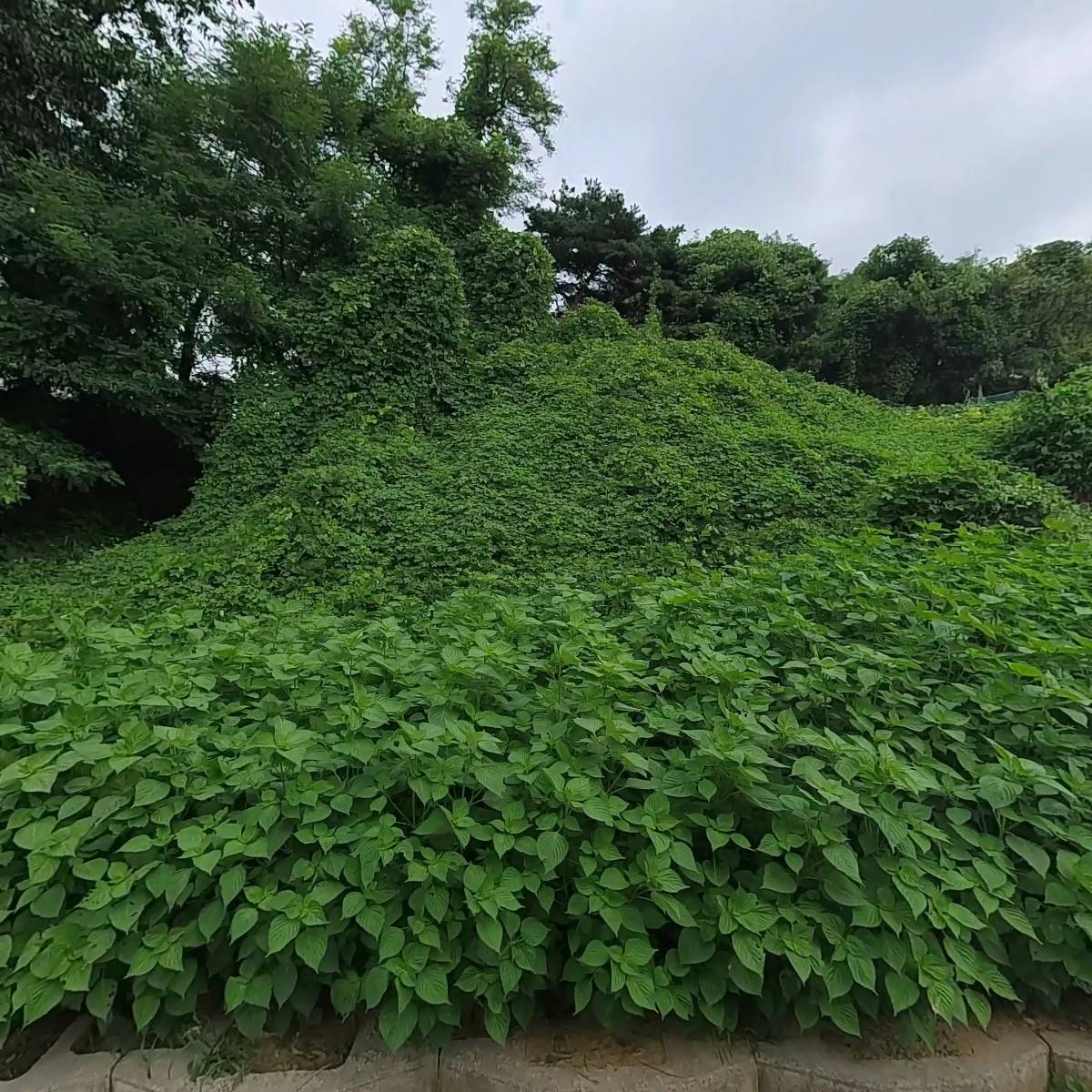 힐스템(석곡점)