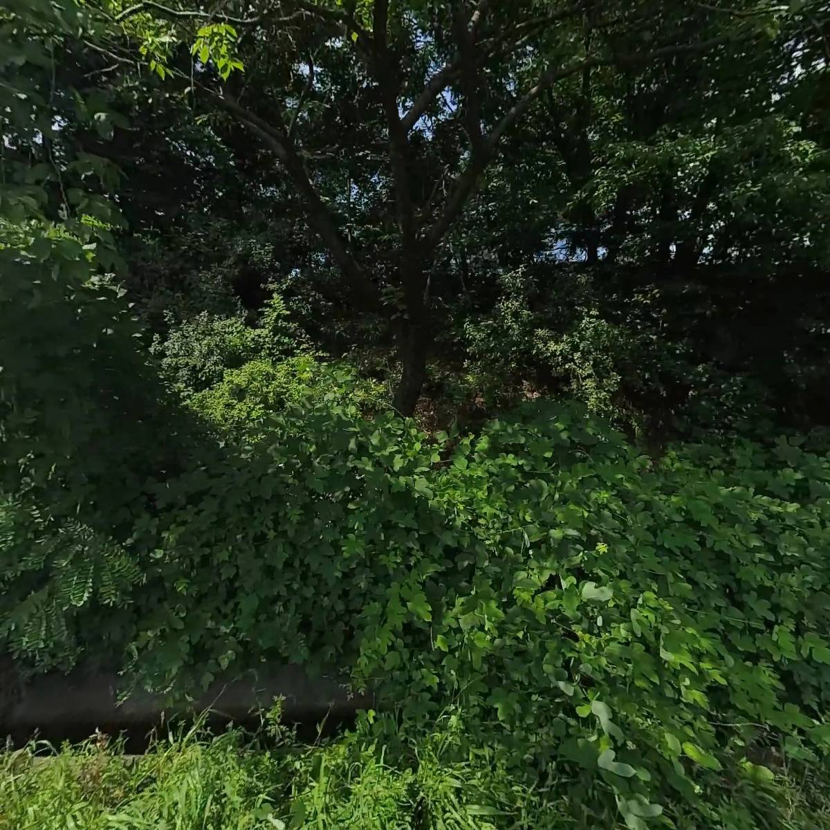 예일전자