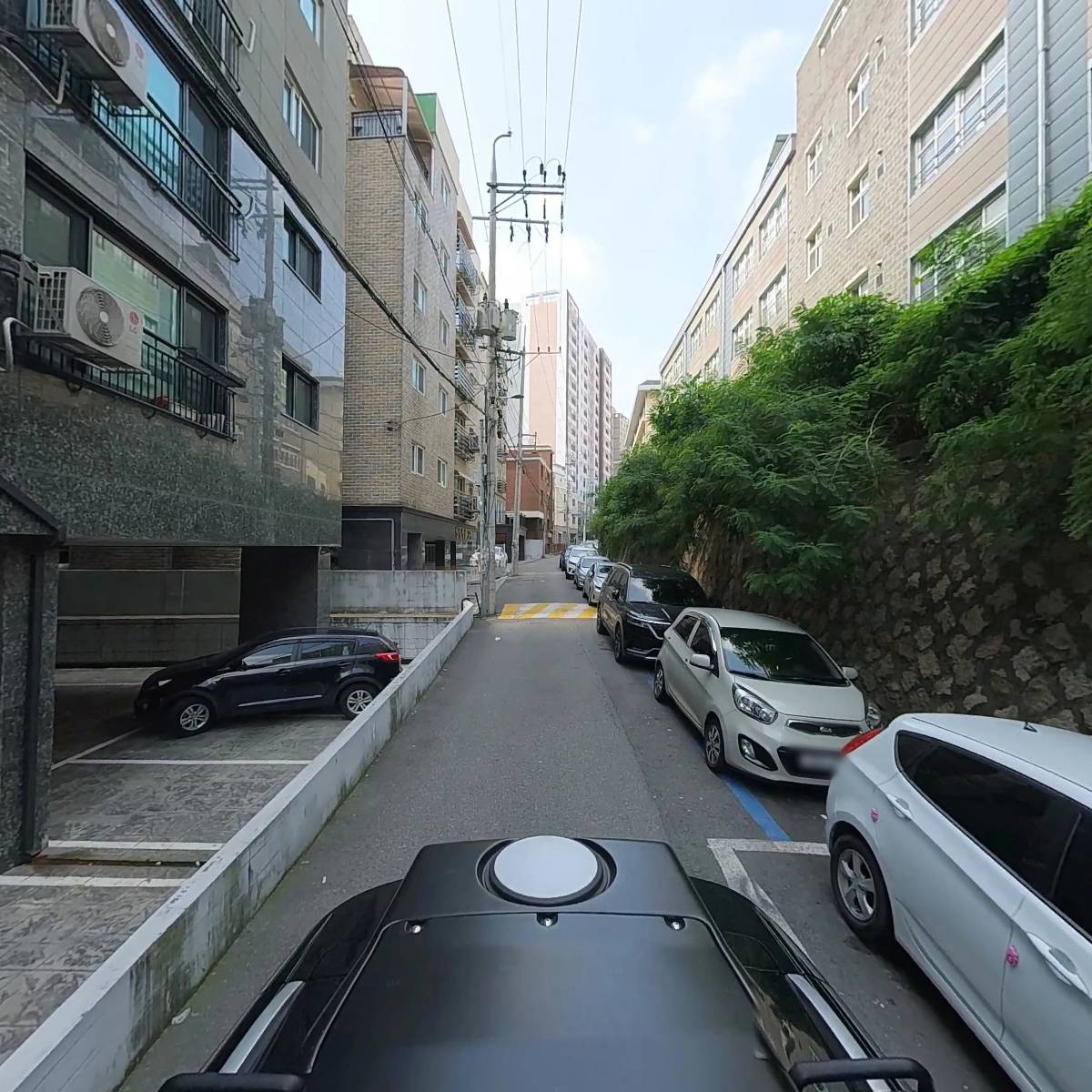 썬플라워_2