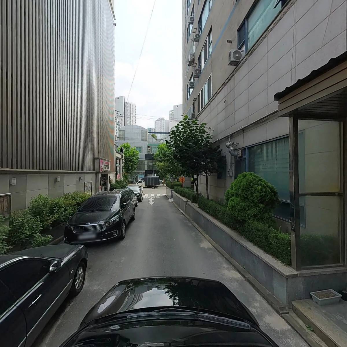 리즈테일_4