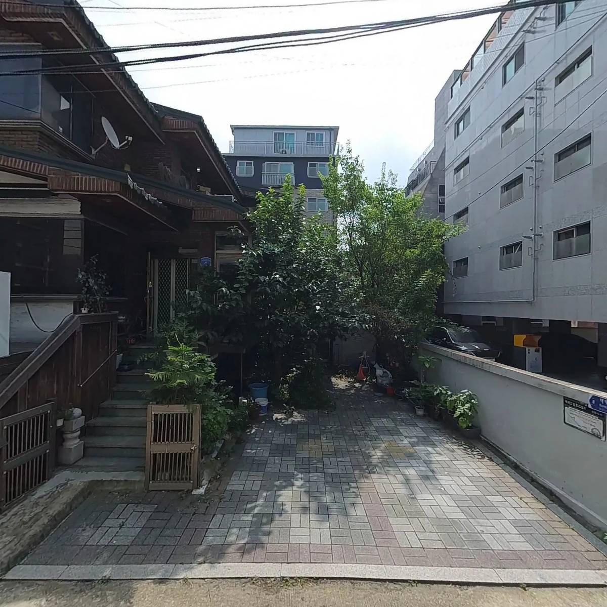 오요요(Oyoyo)