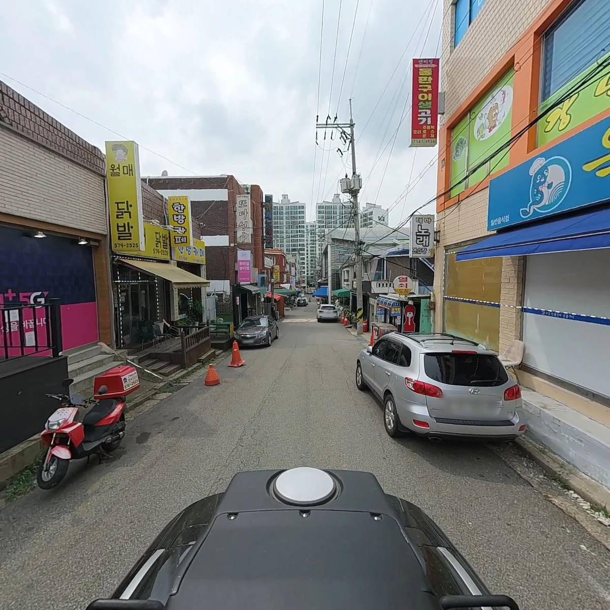 진현우동물병원_2