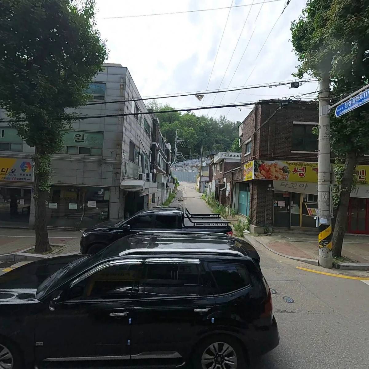 아이리스플라워_3