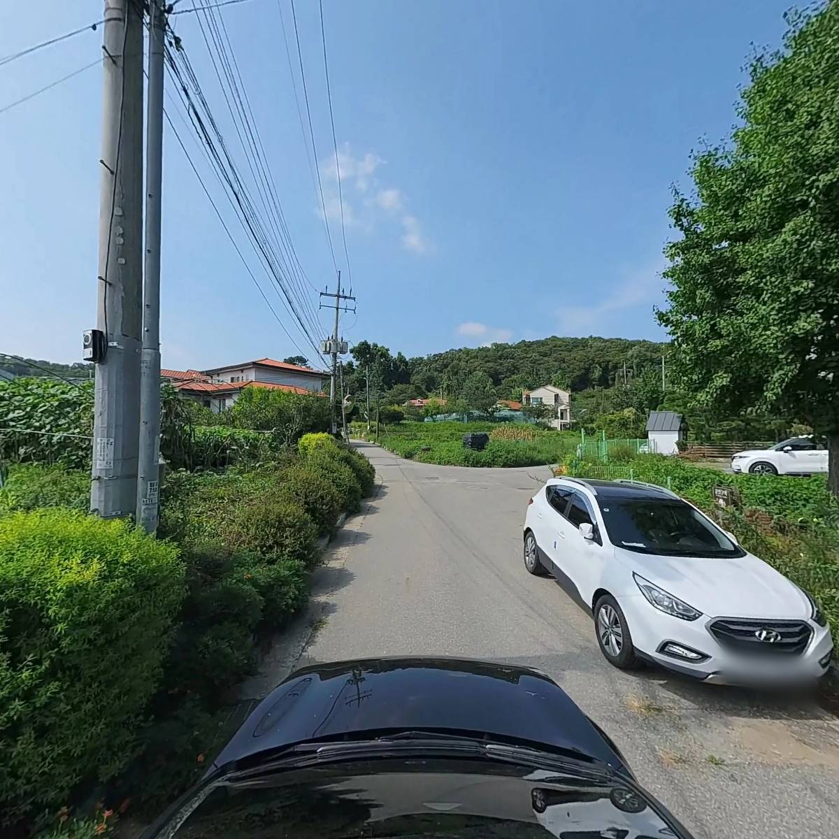 난죽원_4