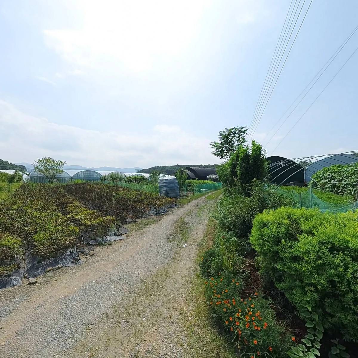 난죽원_3