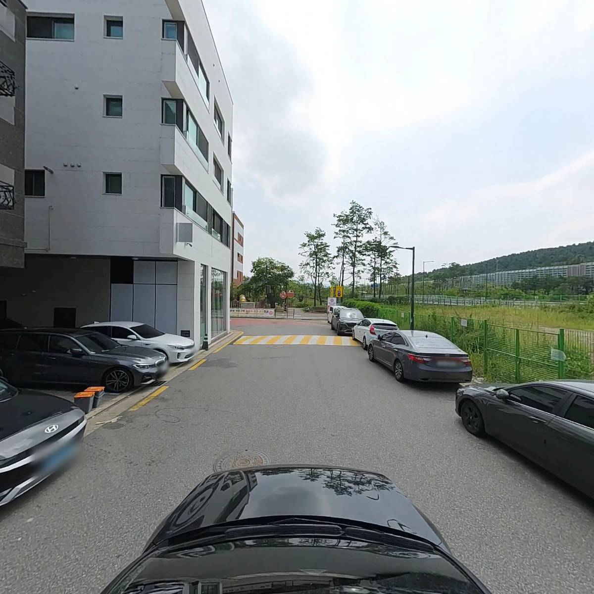 강돈_4